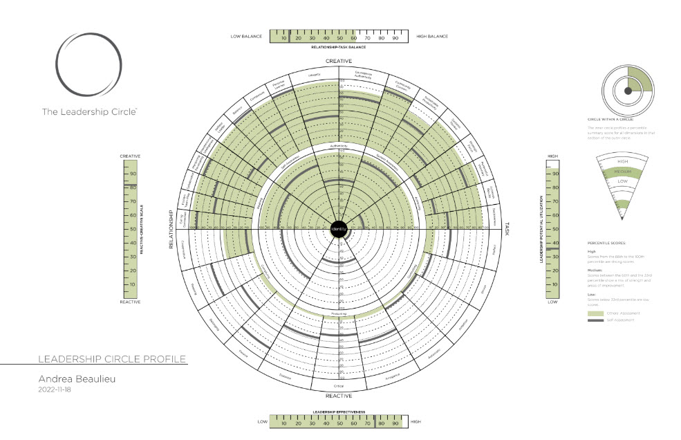 Graph Report Creative Competencies & Reactive Tendences